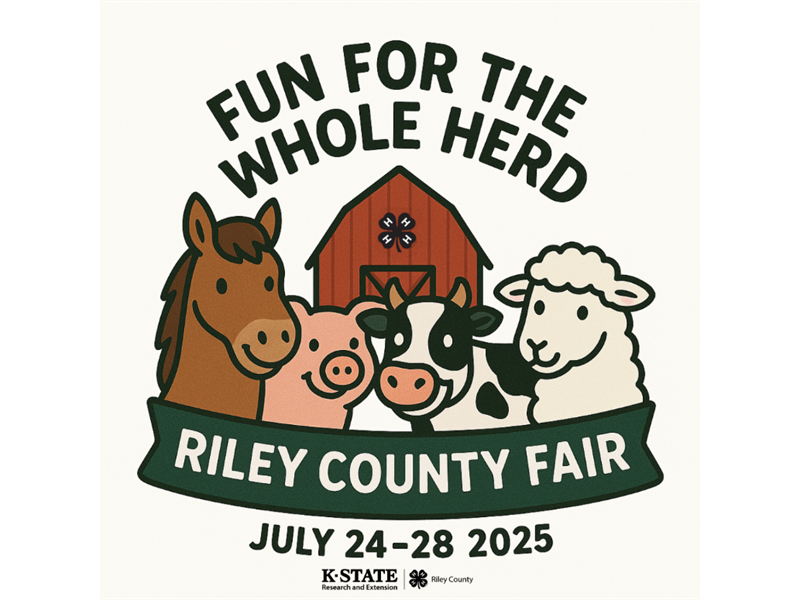 Fair Logo